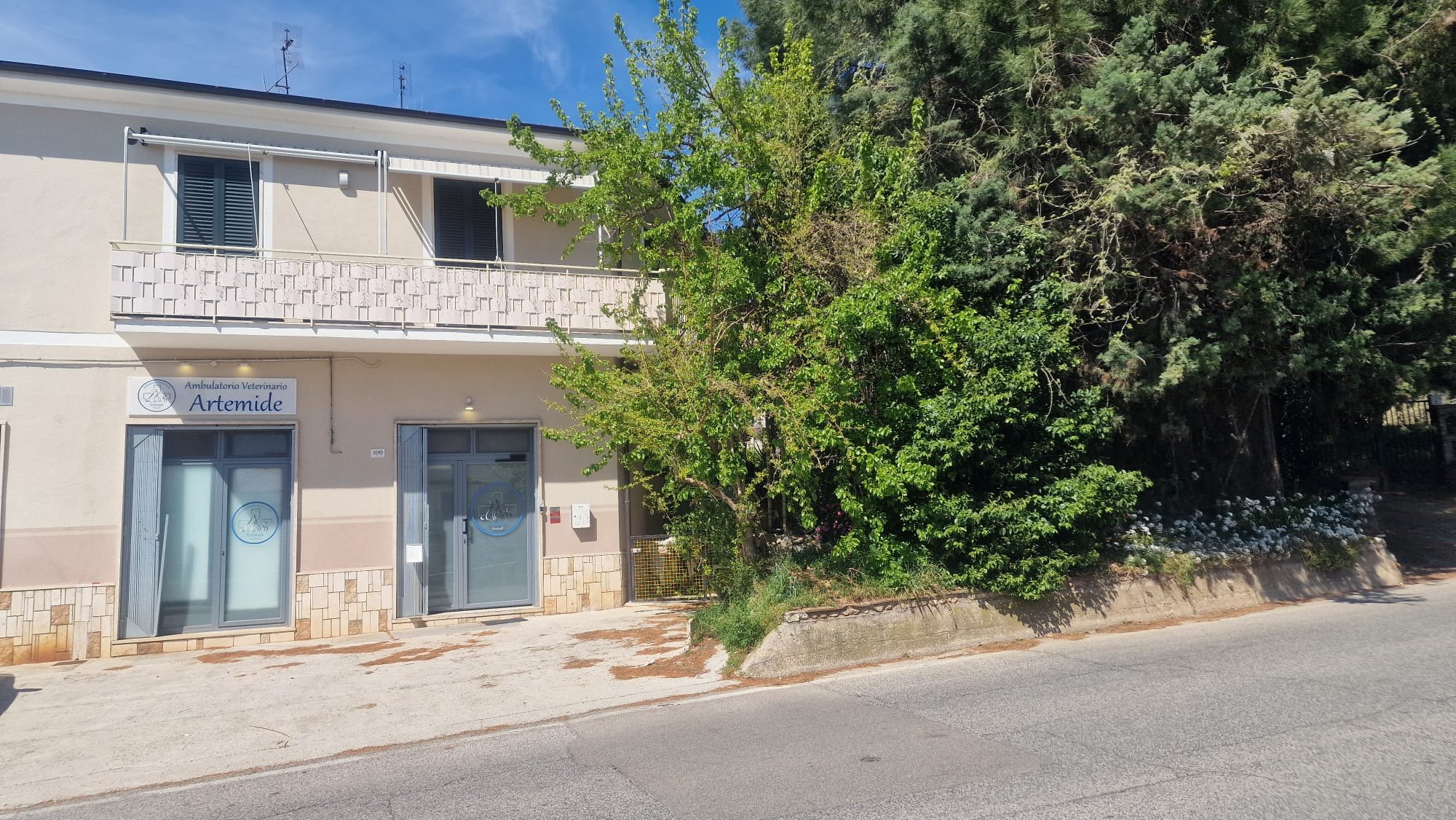 Facciata color crema con insegna Ambulatorio Veterinario Artemide, porte a vetro, balcone e alberi lungo la strada